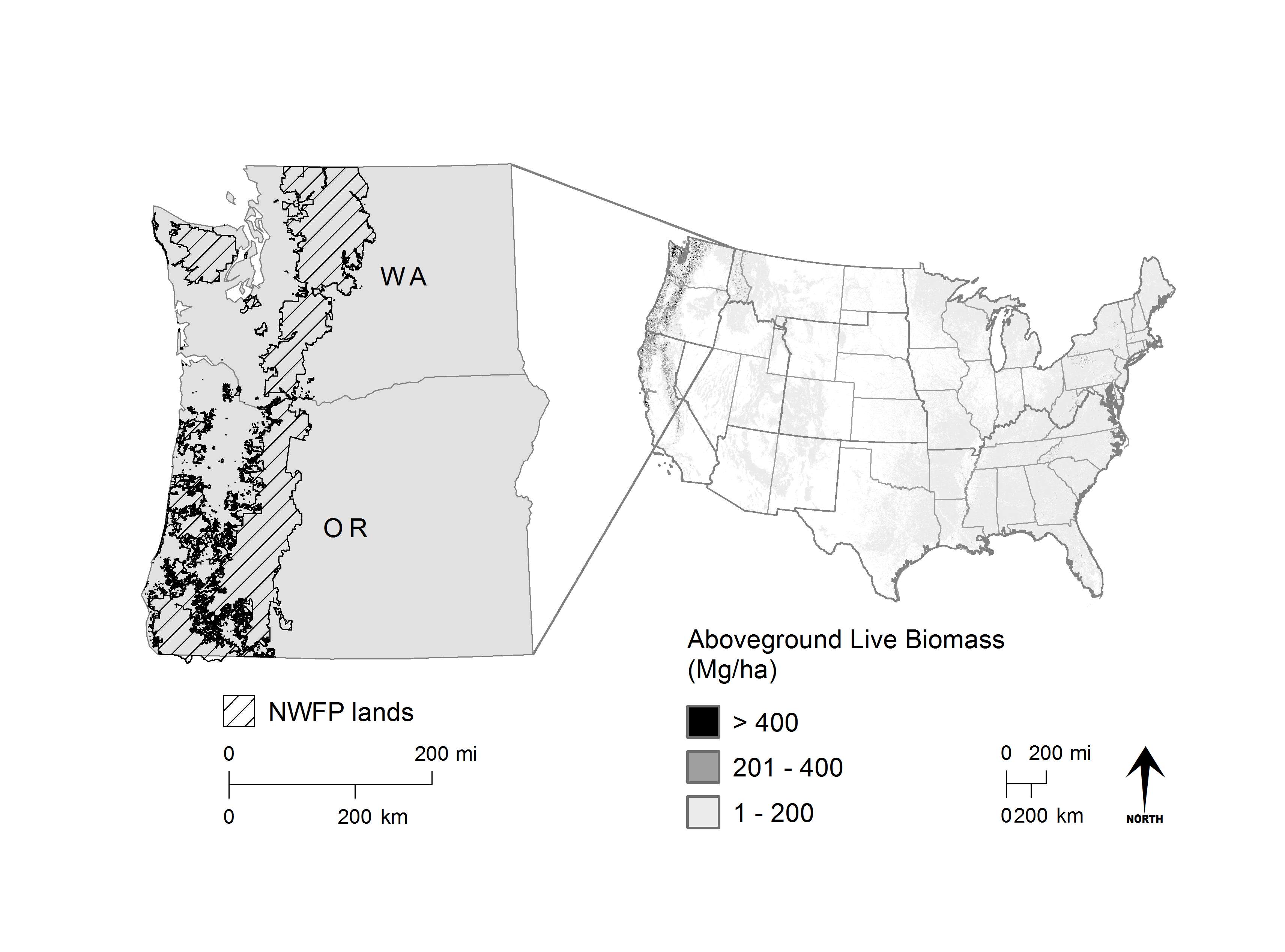 US biomass