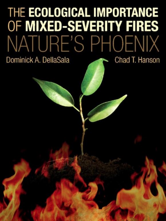 fire natures phoenix bookcover