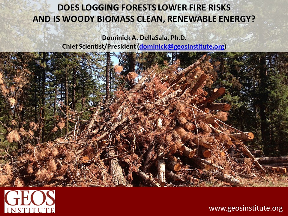 biomass copy