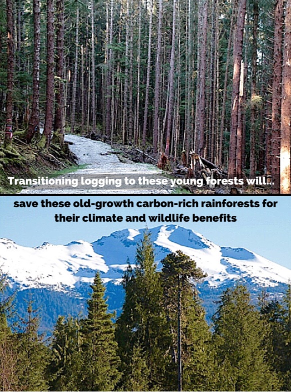 tongass old vs new forests