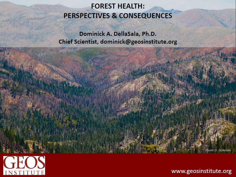 forest health presentation cover