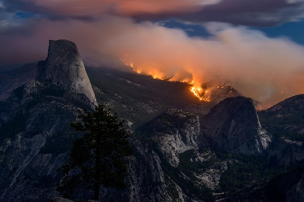 2014 Meadow Fire, Yosemite National Park