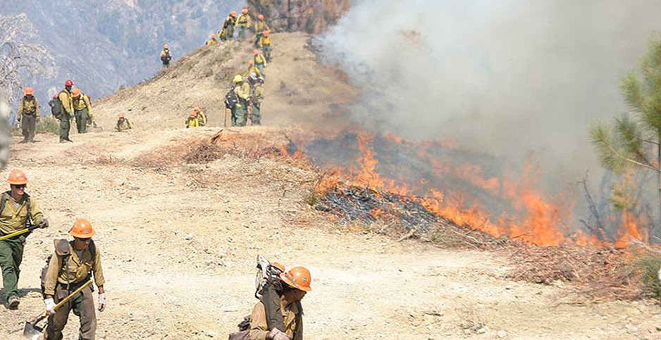Firefighters working to contain the 2016 Soberanes Fire in Los Padres National Forest in California. U.S. Forest Service -- Los Padres National Forest/Facebook