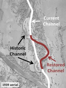 An areal map of little butte creek with lines drawn on showing the current channel, historic channel, and restored channel